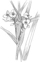 AWF031A.TIF