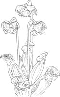 AWF026A.TIF