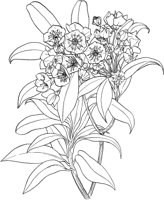 AWF022A.TIF