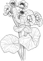 AWF021A.TIF