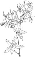 AWF013A.TIF