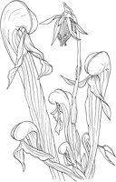 AWF010A.TIF