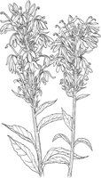 AWF009A.TIF