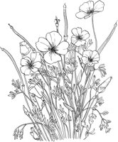 AWF008A.TIF
