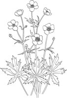 AWF007A.TIF