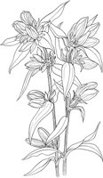AWF006A.TIF