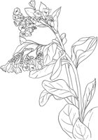 AWF005A.TIF