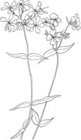AWF004A.TIF