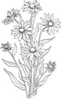 AWF003A.TIF