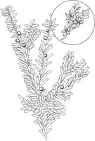 CCB042A.TIF