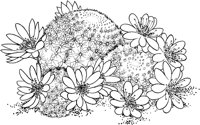 CCB038A.TIF