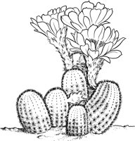 CCB034A.TIF