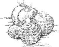 CCB033A.TIF