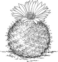 CCB032A.TIF