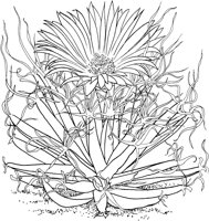 CCB030A.TIF