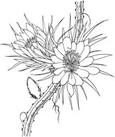 CCB028A.TIF