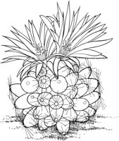 CCB019A.TIF