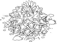 CCB018A.TIF