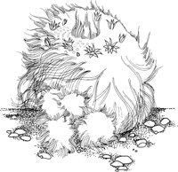 CCB014A.TIF