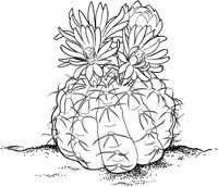 CCB013A.TIF