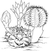 CCB010A.TIF