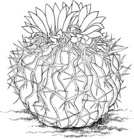 CCB009A.TIF