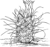 CCB008A.TIF