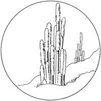 CCB005C.TIF