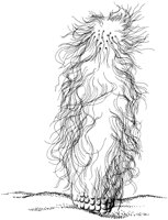 CCB005A.TIF