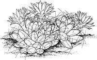CCB002A.TIF