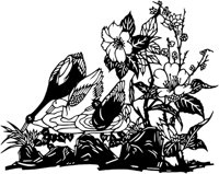 CDS007A.TIF