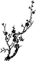 CDS004D.TIF