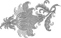 DFL031A.TIF