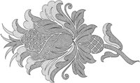 DFL030A.TIF
