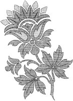 DFL017D.TIF
