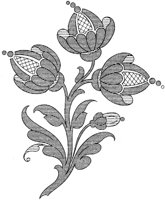 DFL017C.TIF