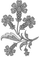 DFL013C.TIF