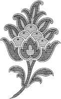DFL008C.TIF