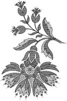 DFL007C.TIF