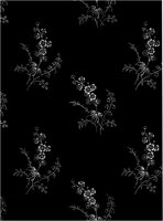 EAS018A.TIF