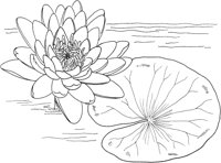 FFL044B.TIF