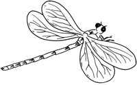 FFL044A.TIF