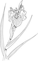 FFL041A.TIF