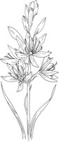 FFL039A.TIF