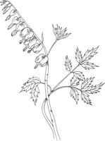 FFL038A.TIF