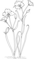 FFL029A.TIF