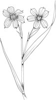 FFL027A.TIF