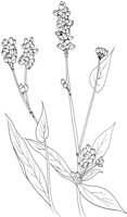 FFL025A.TIF