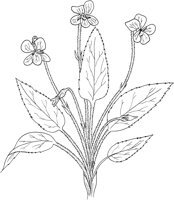 FFL024A.TIF