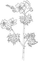 FFL023A.TIF